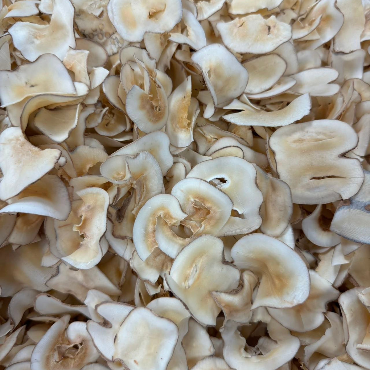 Premium All-Natural Dried Sea Coconut Slices - 801084