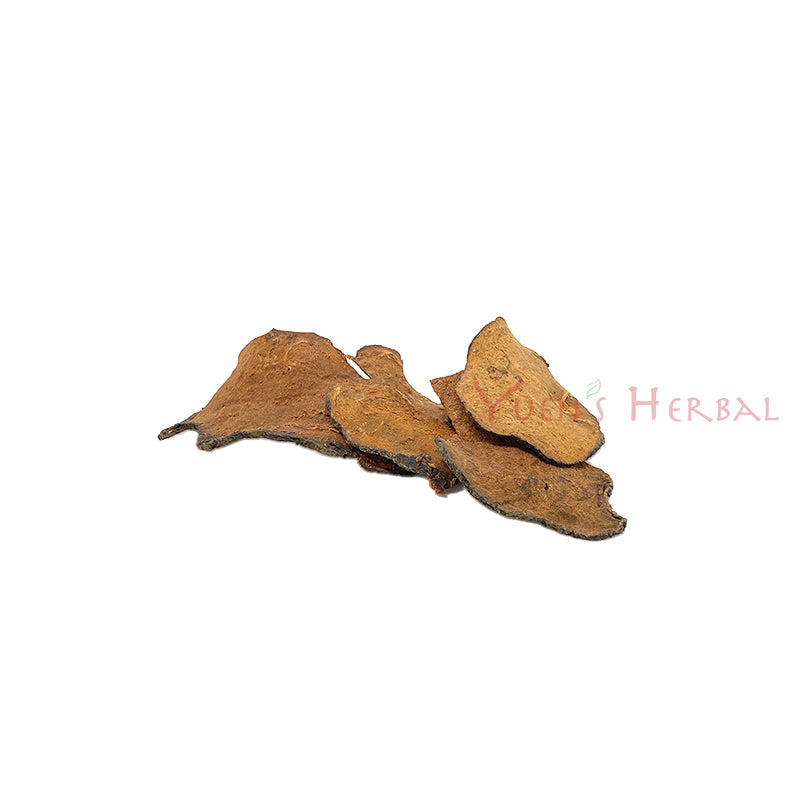 Shou Wu Pian / Fo-Ti Slices / Polygonum Multiflorum Slices 801056