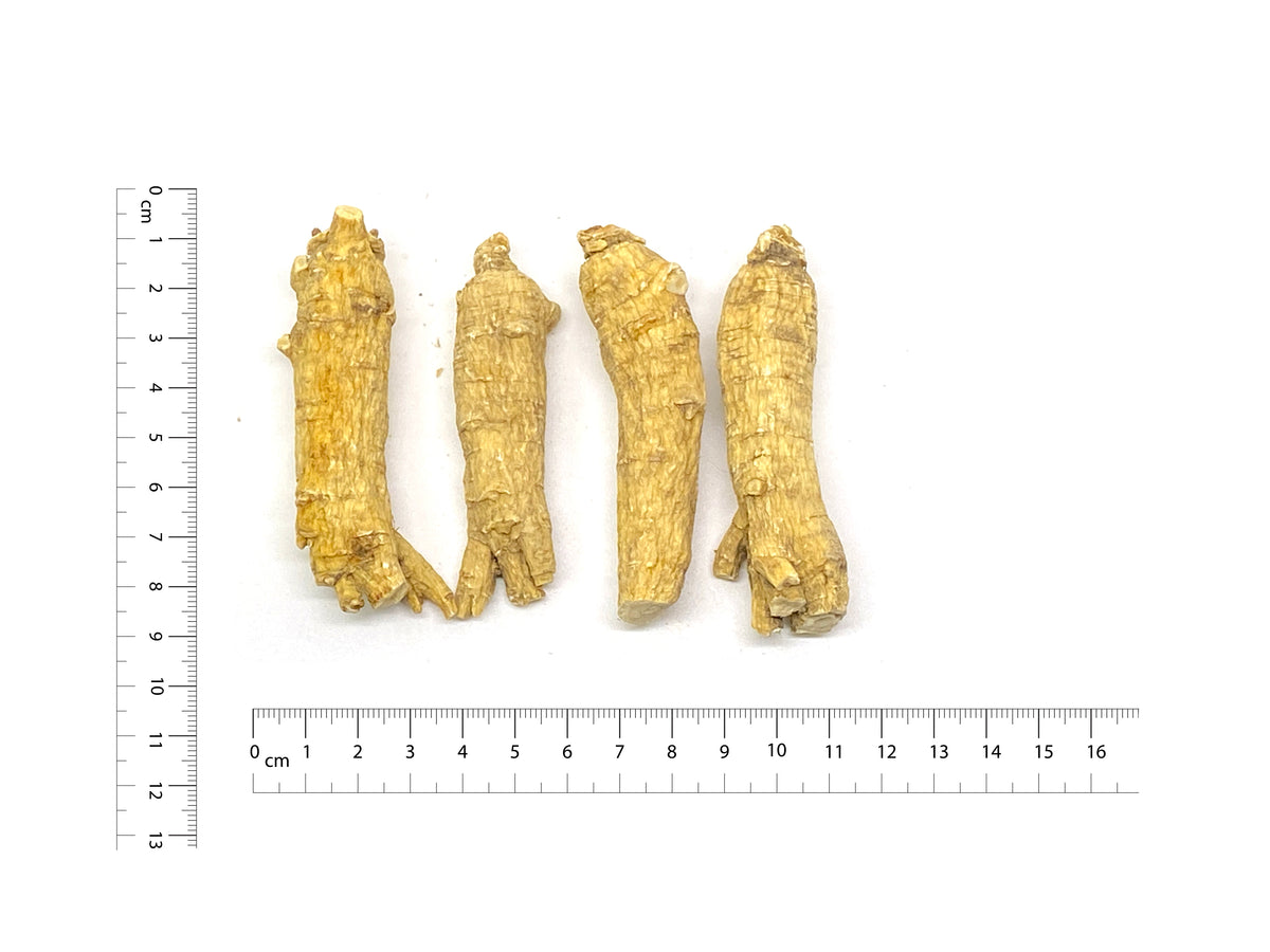 Premium Wisconsin American Ginseng Roots- – 100% Natural Panax Quinquefolius -AG-L3 - 201007