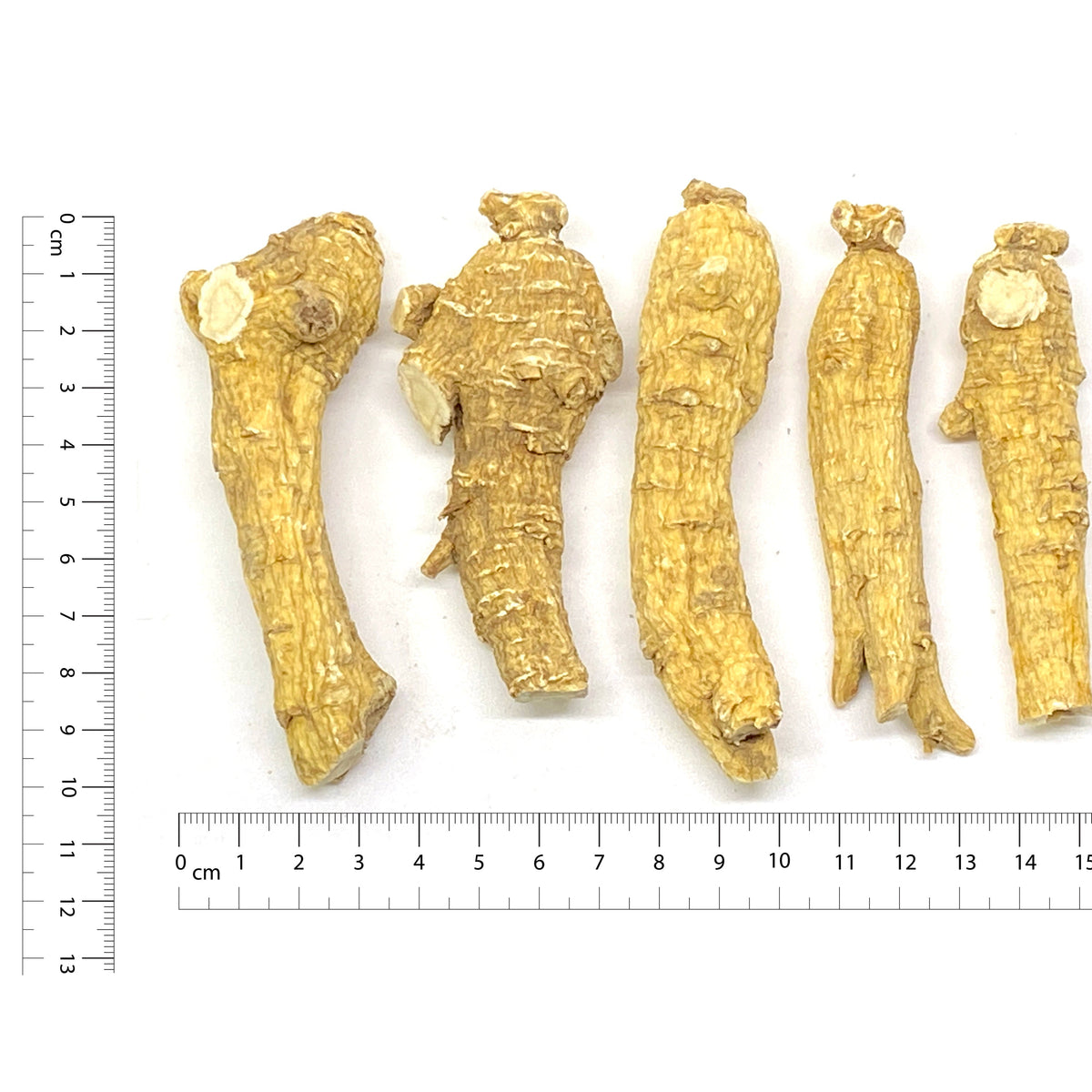 American Ginseng L2 - 201006