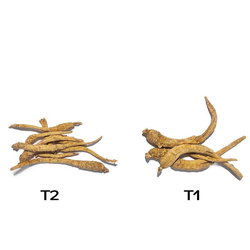 Premium Wisconsin American Ginseng Roots- – 100% Natural Panax Quinquefolius AG-T2 - 201010