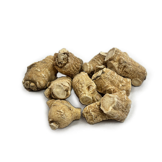 American Ginseng A1 - 101021