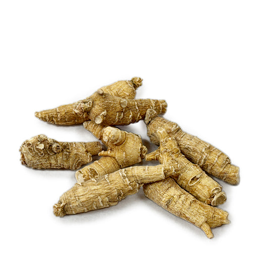 American Ginseng B2 - 101026