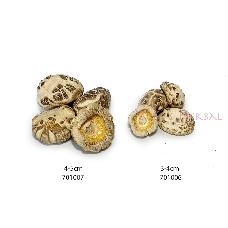 Premium Japanese Dried White Flower Mushroom / Dried Flower Shiitake Mushroom (Donko) 3-4cm 701006