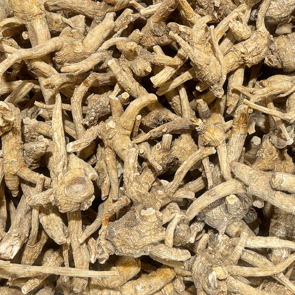 Premium Wisconsin American Ginseng Roots-Untrimmed Barrel – 100% Natural Panax Quinquefolius AG-H1 - 201311