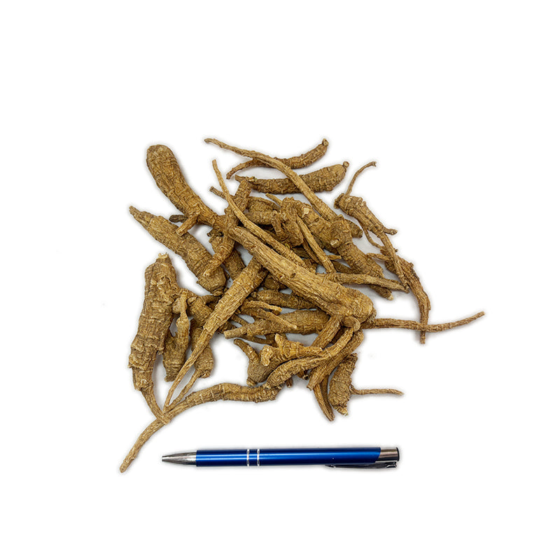 Premium Wisconsin American Ginseng Roots- – 100% Natural Panax Quinquefolius AG-S2-D - 201014
