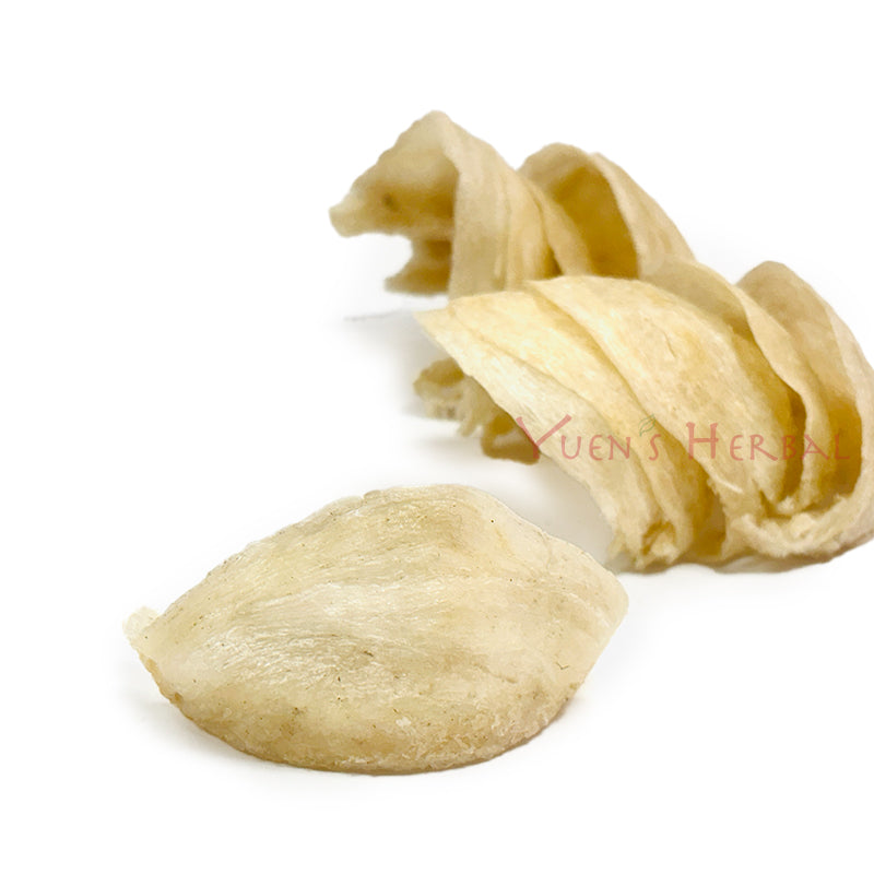 Natural Bird's Nest-ndonesia Grade MS-A5 High Quality 42cups-454g - 601005