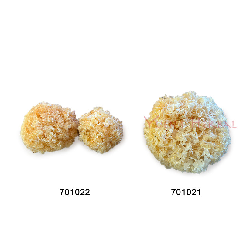 Premium Natural Snow Fungus - S 701022