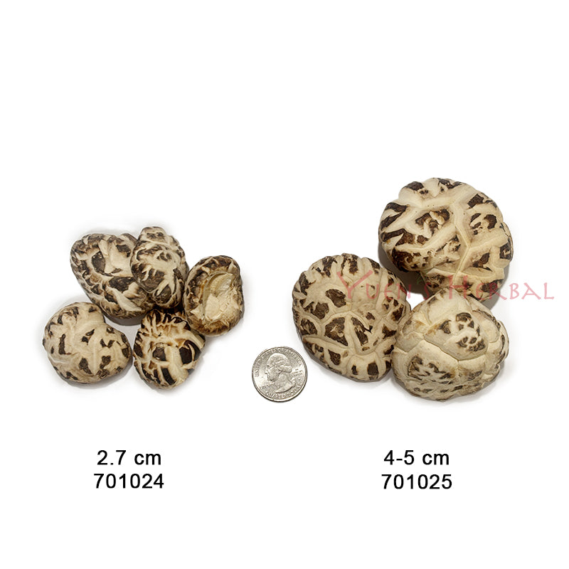 White Shiitake Mushroom- 2.7 - 701024