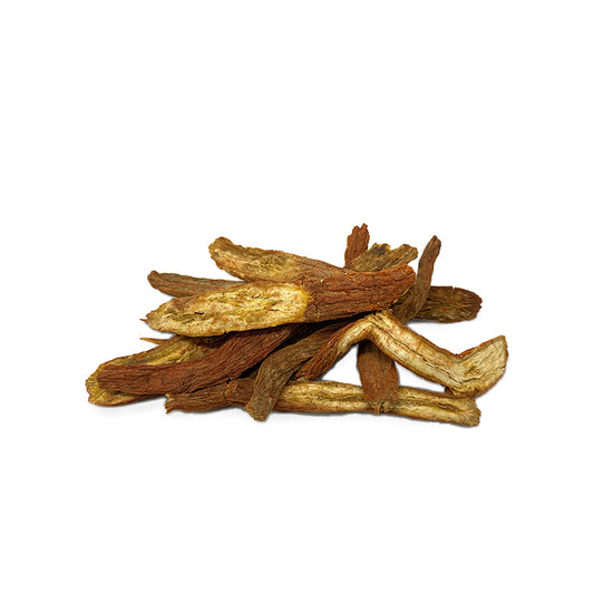 Salvia Miltiorrhiza / Dan Shen (Red Sage Root) 801036
