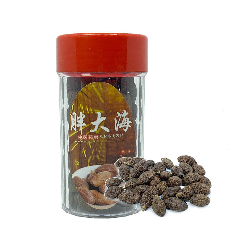 Premium Boat-fruited Sterculia Seed (Sterculia Lychnophora / Pang Da Hai) 801038