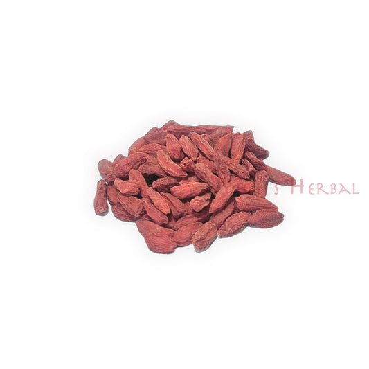 Goji Berry／Lycium barbarum - M - 801088