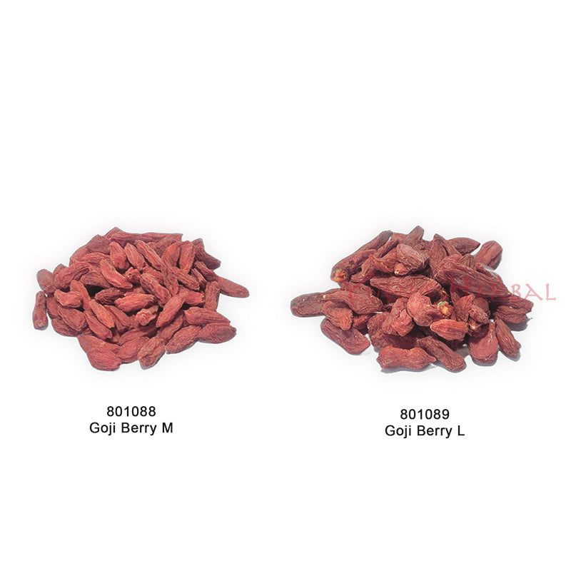 Goji Berry／Lycium barbarum - M - 801088