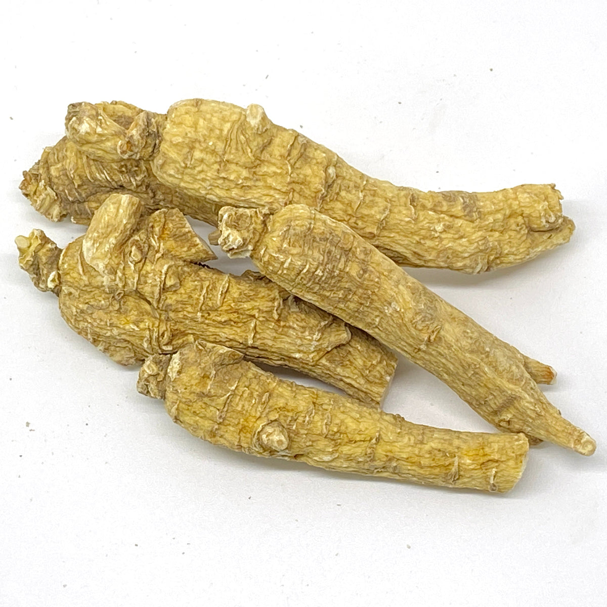 American Ginseng L2 - 201006