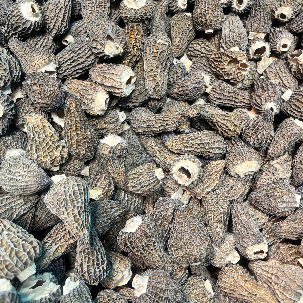 Premium Morel Mushrooms - 701010